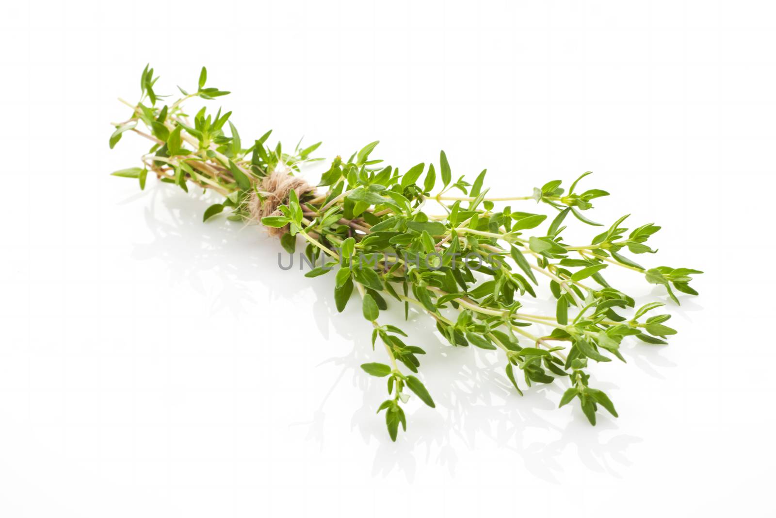 Organic fresh thyme bunch bound with brown natural twine isolated on white background. Aromatic culinary herbs.