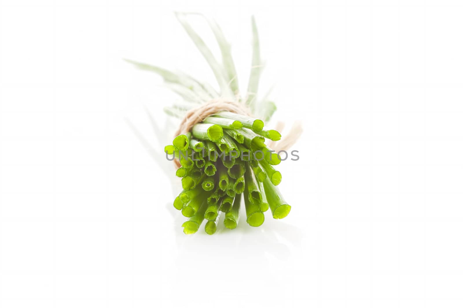 Chive bunch cross section isolated on white background. Aromatic culinary herbs.