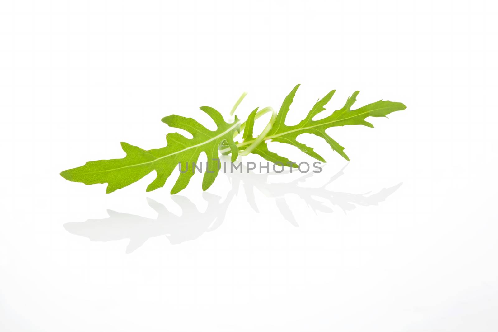 Arugula leaves isolated on white background. Culinary aromatic organic herbs.