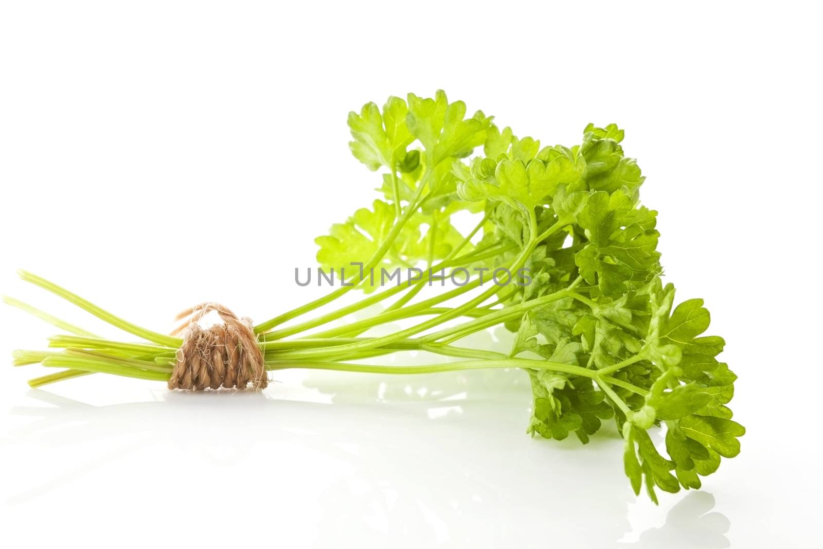 Fresh organic curly parsley bunch bound with brown twine isolated on white background. Aromatic culinary herbs.