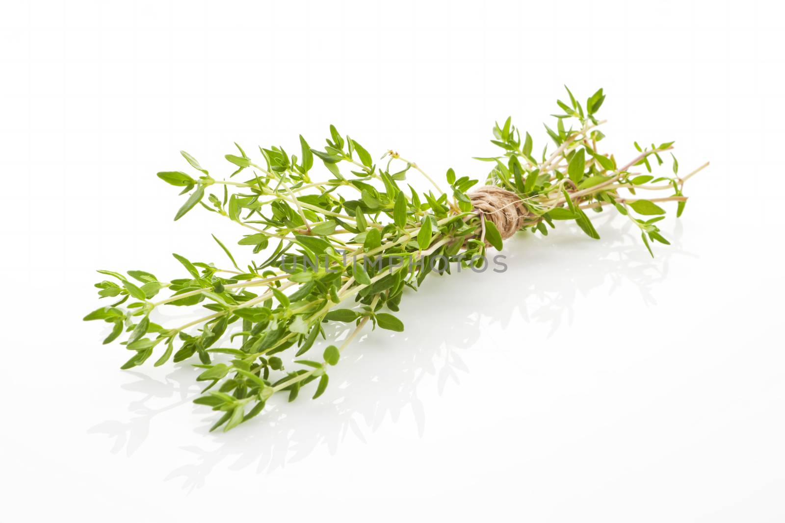 Organic fresh thyme bunch bound with brown twine isolated on white background. Aromatic culinary herbs.