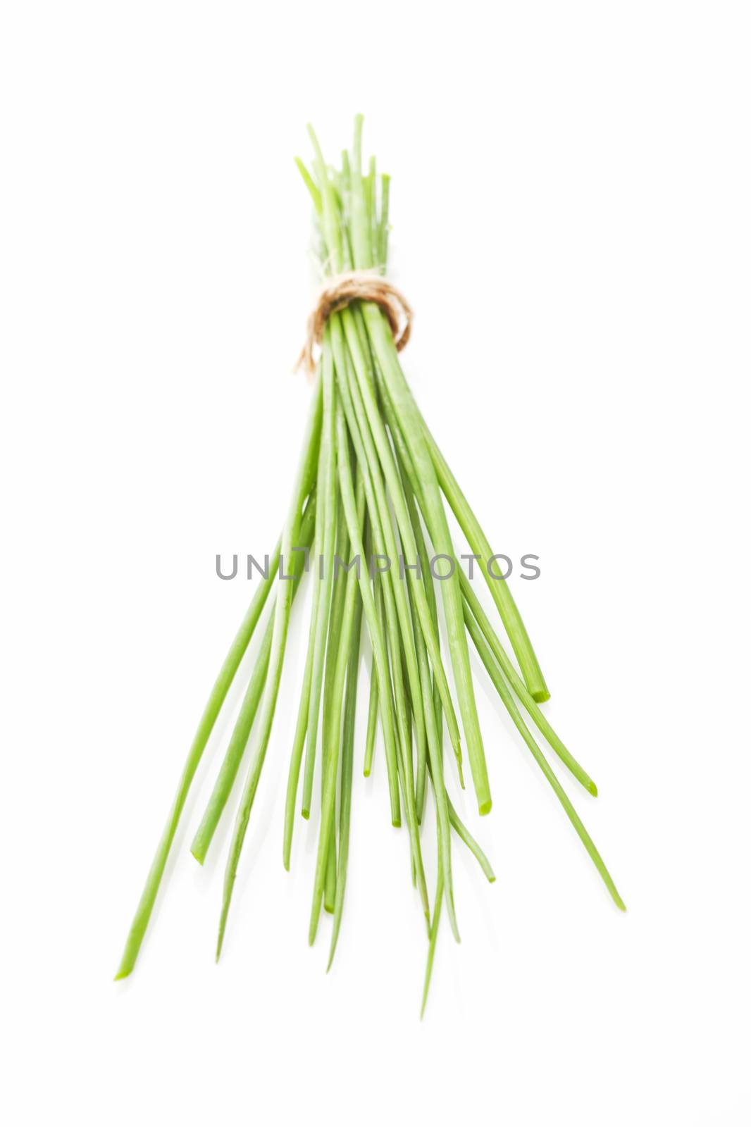 Fresh raw organic chive bunch isolated on white background. Aromatic culinary herb concept.