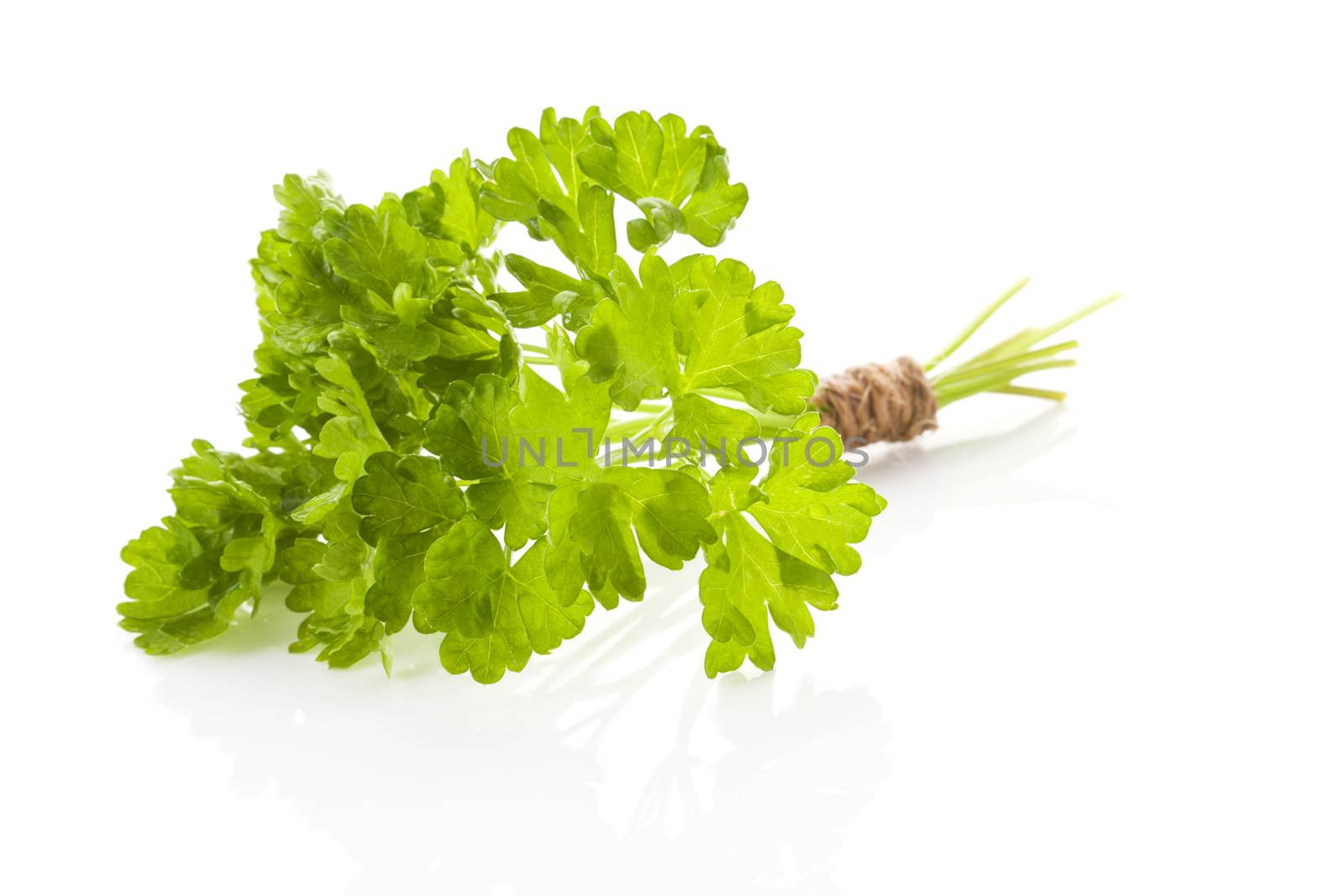 Curly parsley bunch. by eskymaks