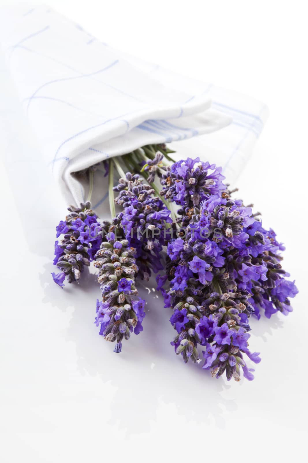 Luxurious lavender bouquet on white background. Aromatic herbs.