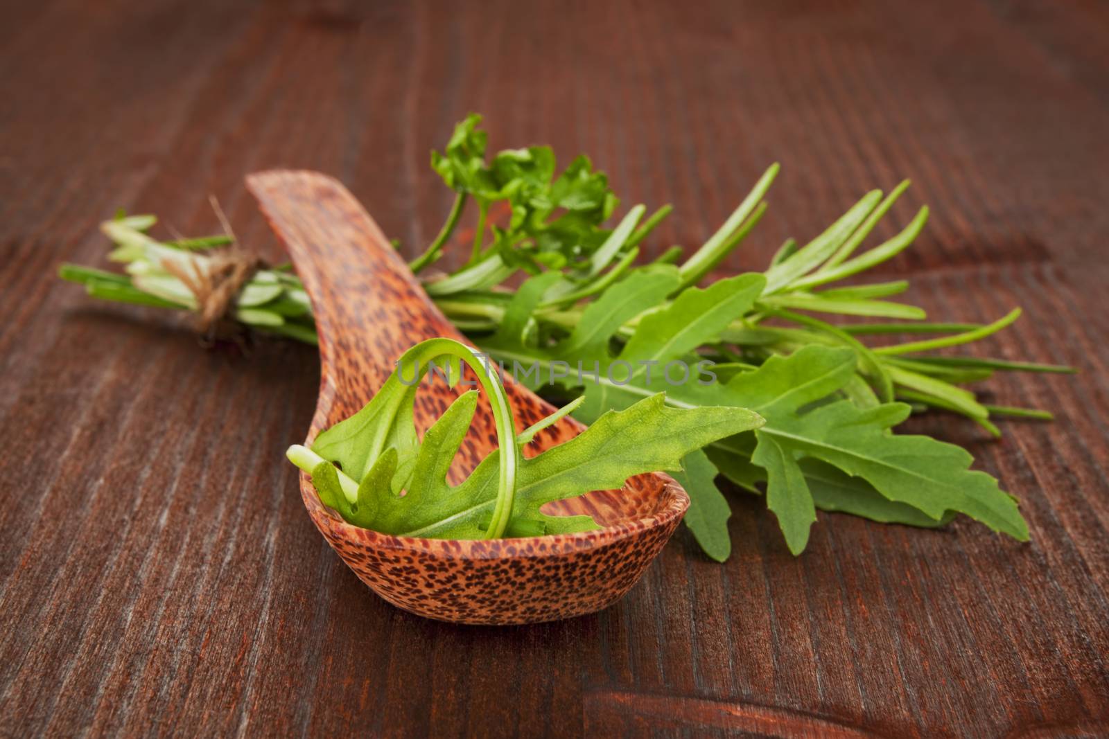 Various culinary herbs on wooden spoon on dark wooden background. Arugula, rosemary and parsley.
