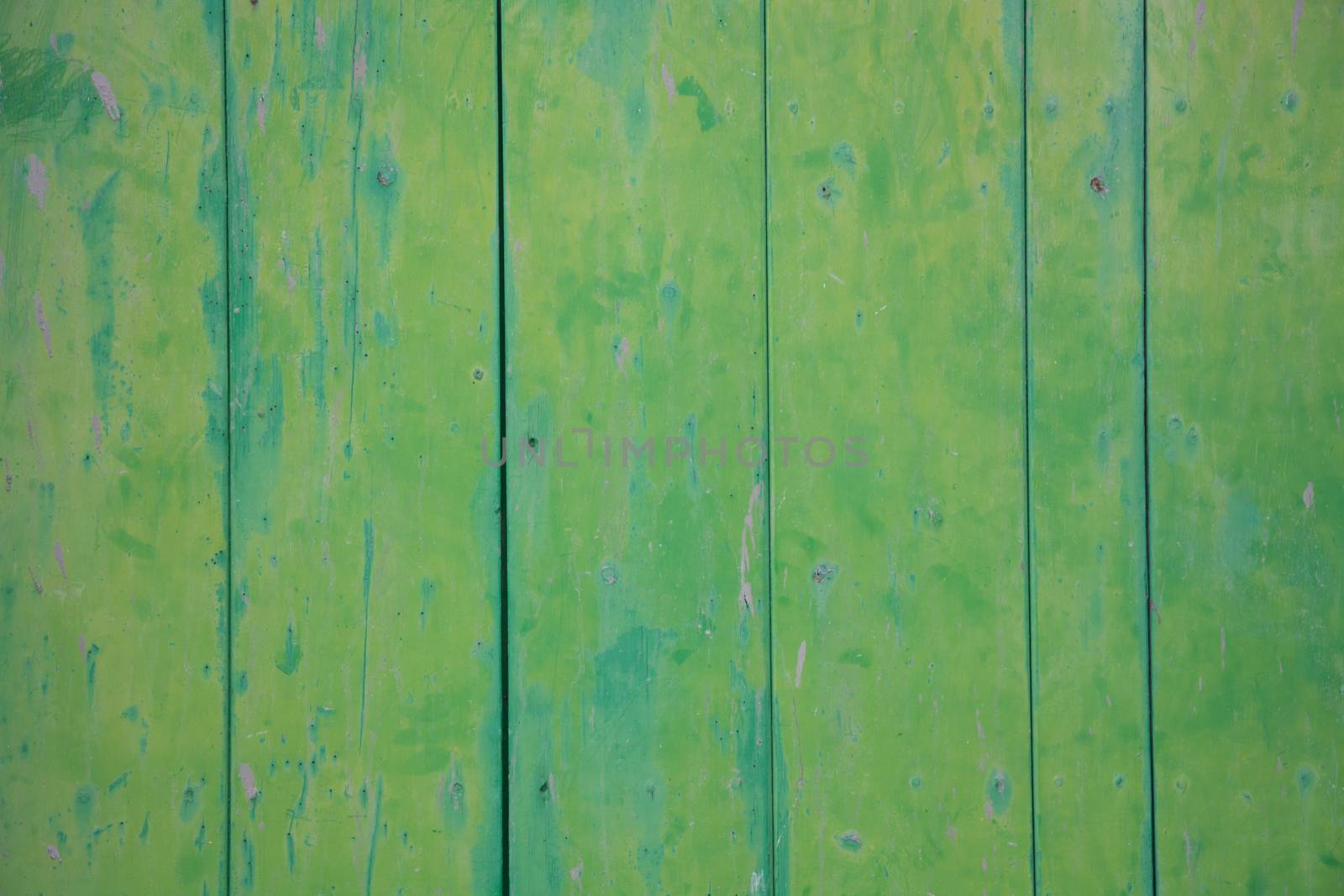 Green wood wall by ArtesiaWells