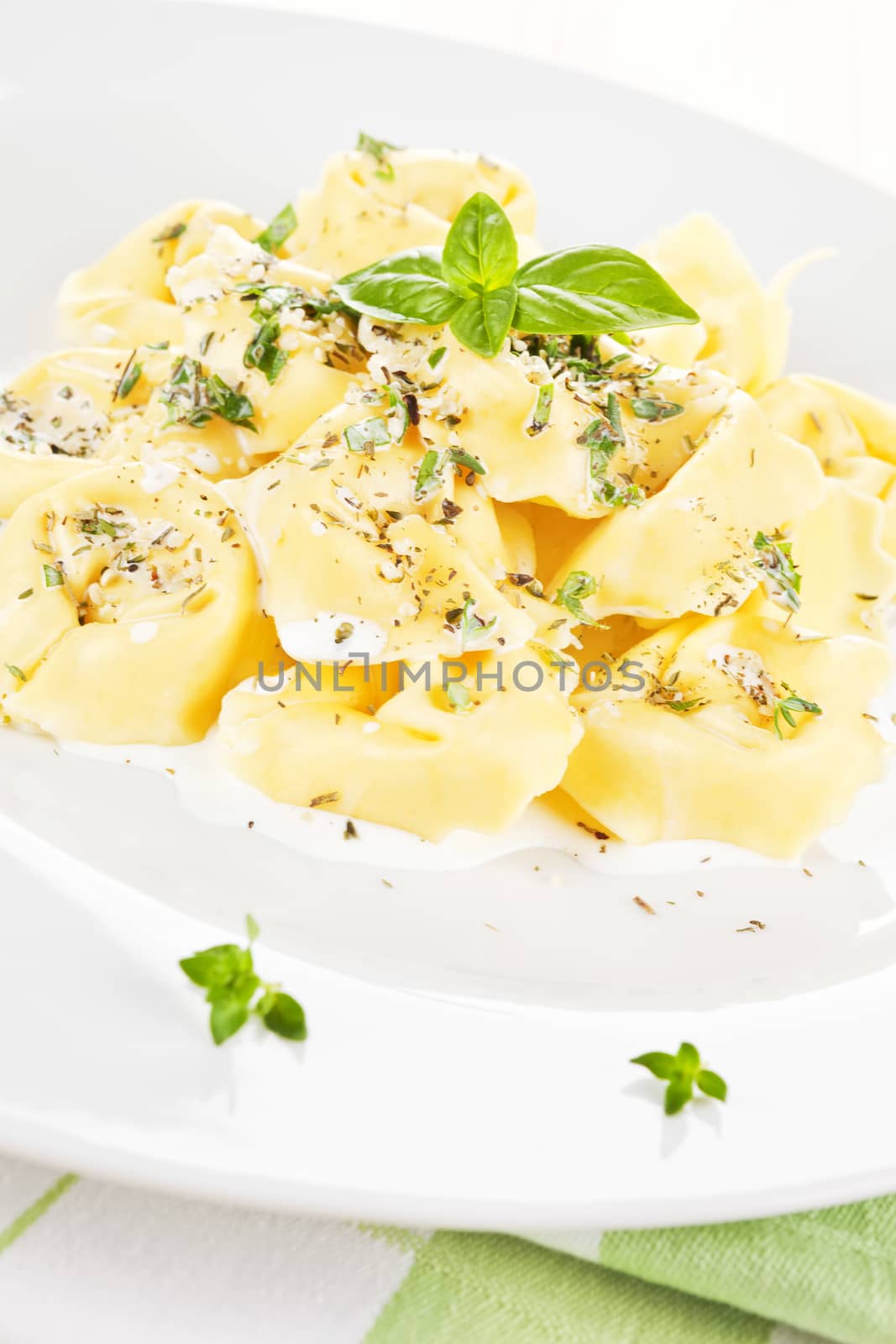 Tortellini pasta with white cream sauce and herbs. Traditional italian pasta.