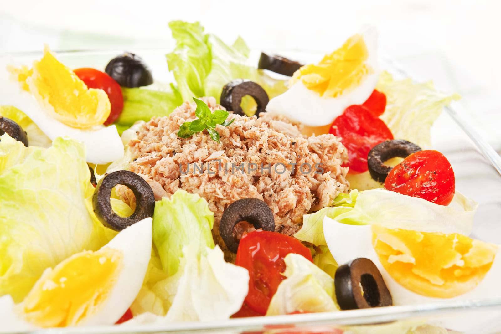 Tuna salad with olives, eggs and tomatoes close up. Summer food.