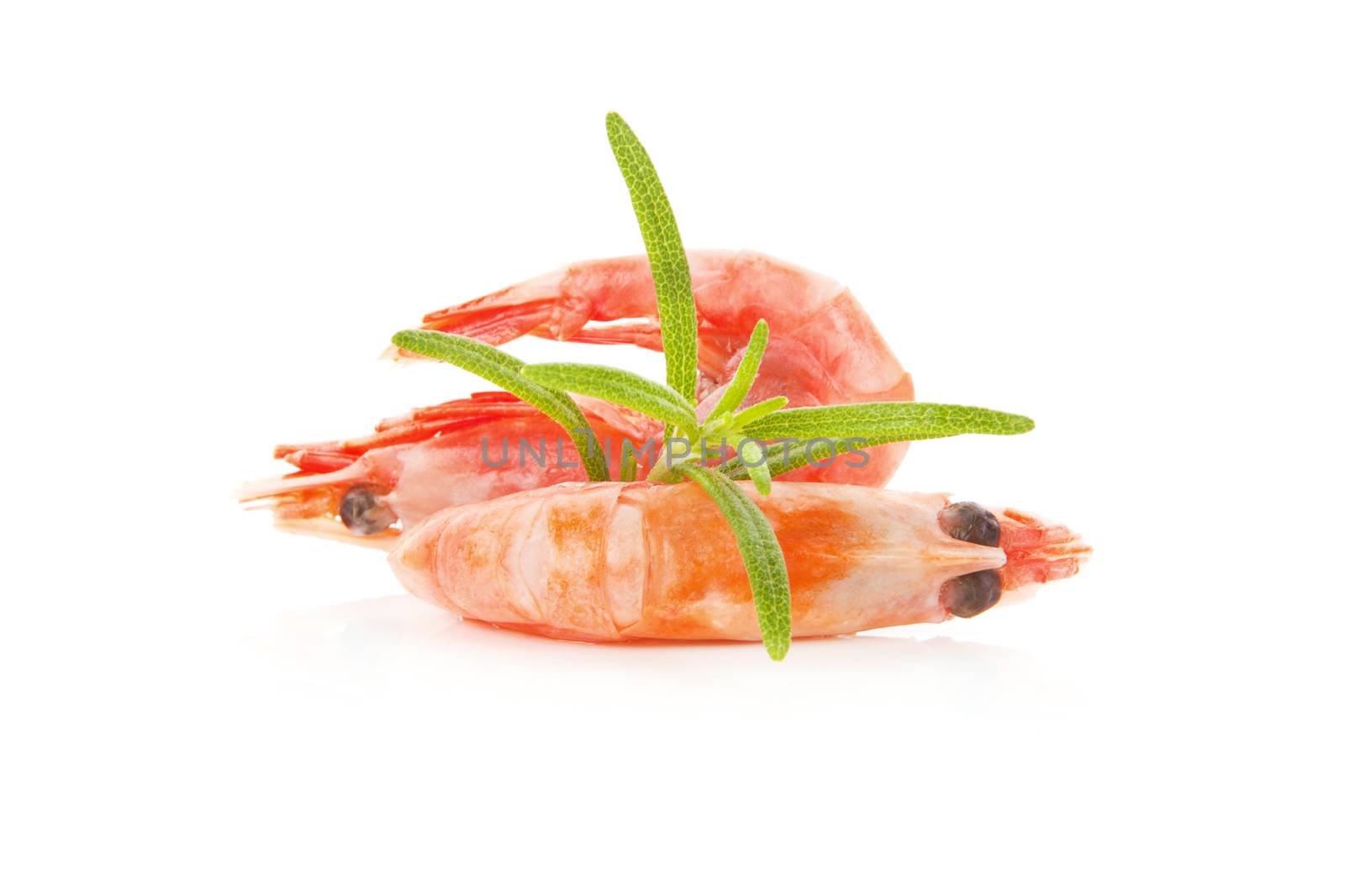 Shrimps with fresh herbs isolated on white background. Delicious seafood.
