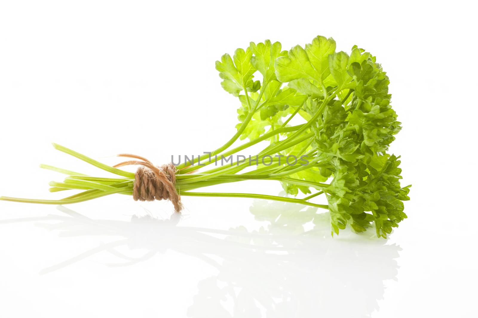 Curly parsley bundle bound with brown twine isolated on white background.