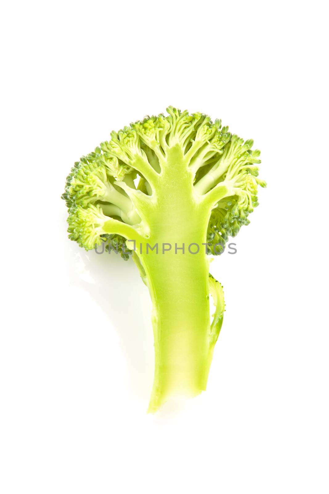 Broccoli piece section isolated on white background.