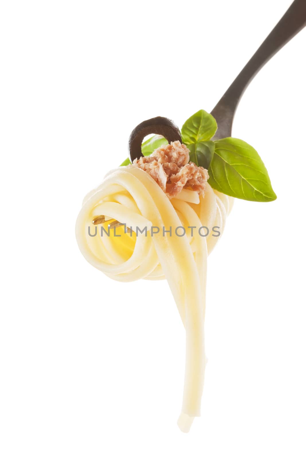 Spaghetti with tuna, black olive and basil on fork isolated on white. 