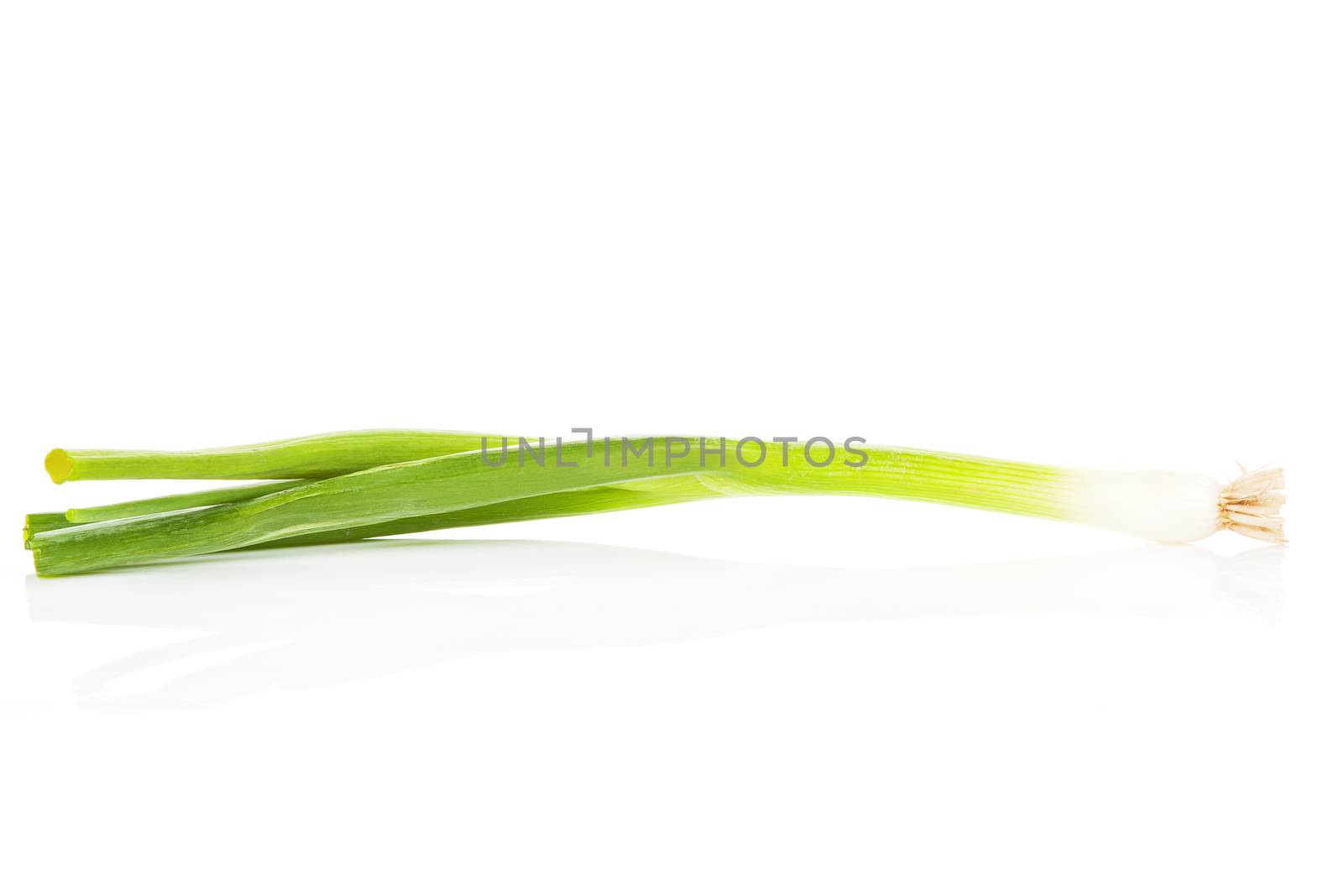 Young fresh onion isolated on white background.