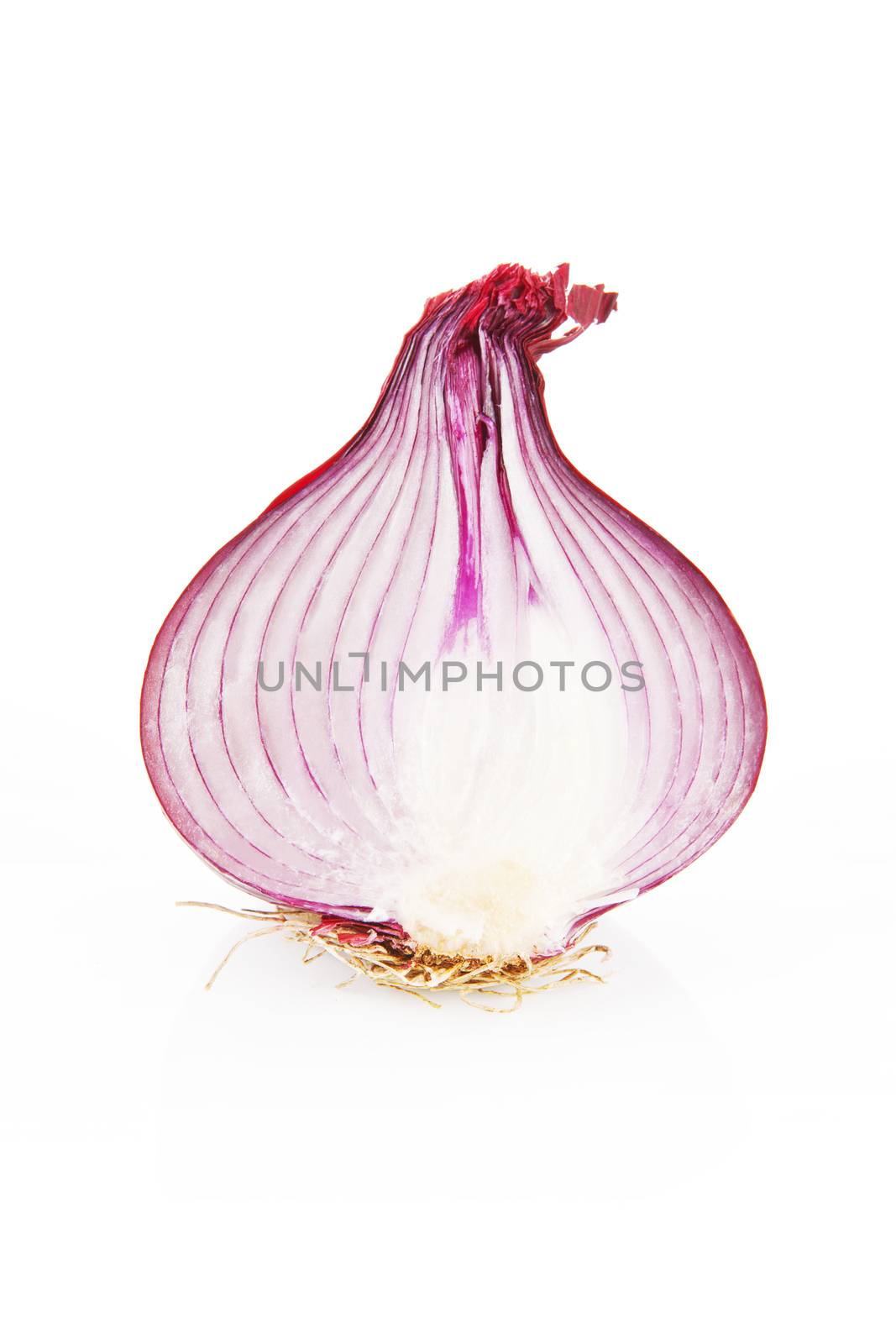 Onion section isolated by eskymaks