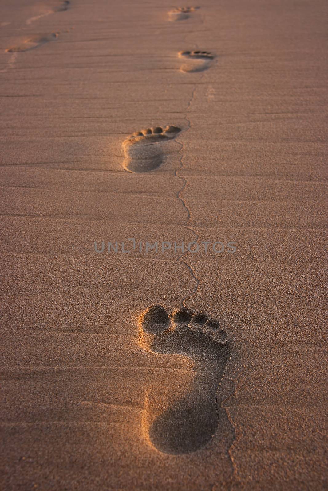 Footprints on beach at sunset. Travel vacation background.