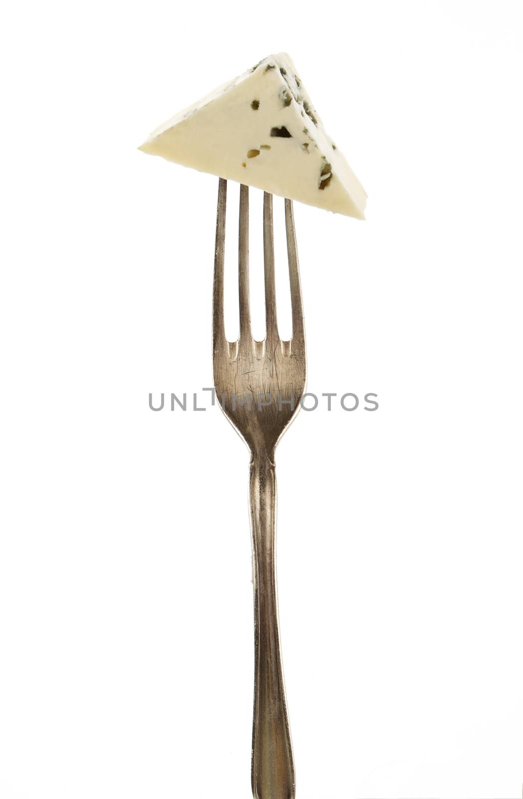 Cheese piece on fork. by eskymaks