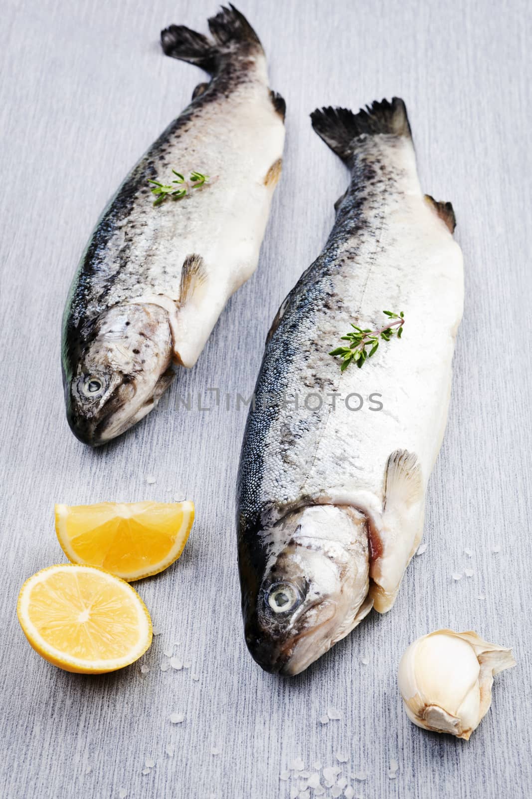 Two fish isolated on board with lemon and salt corns. Seafood concept. 