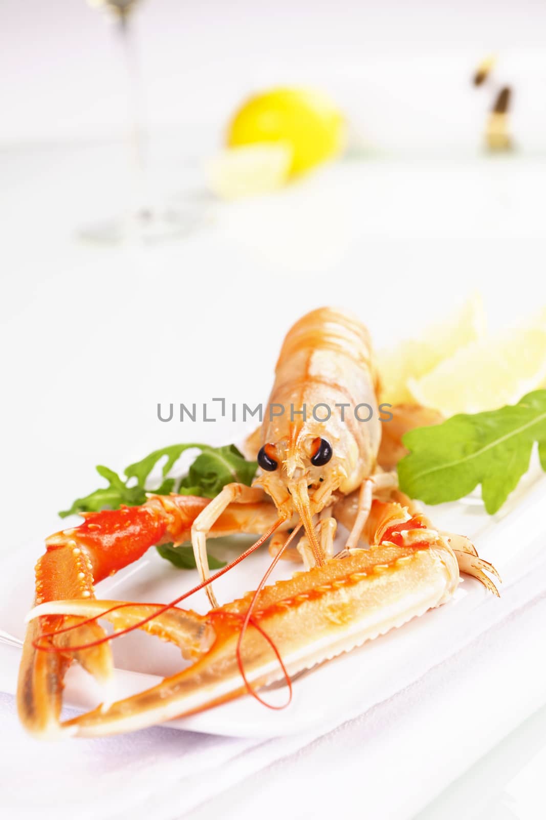 Seafood. Langoustine. by eskymaks