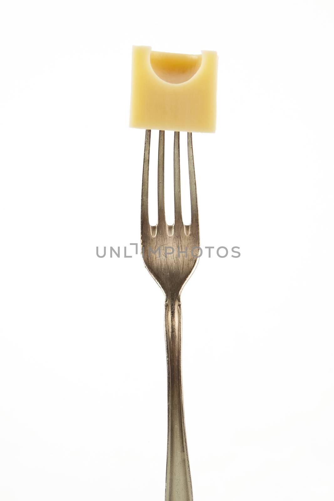 Emmental piece on fork isolated on white background. 