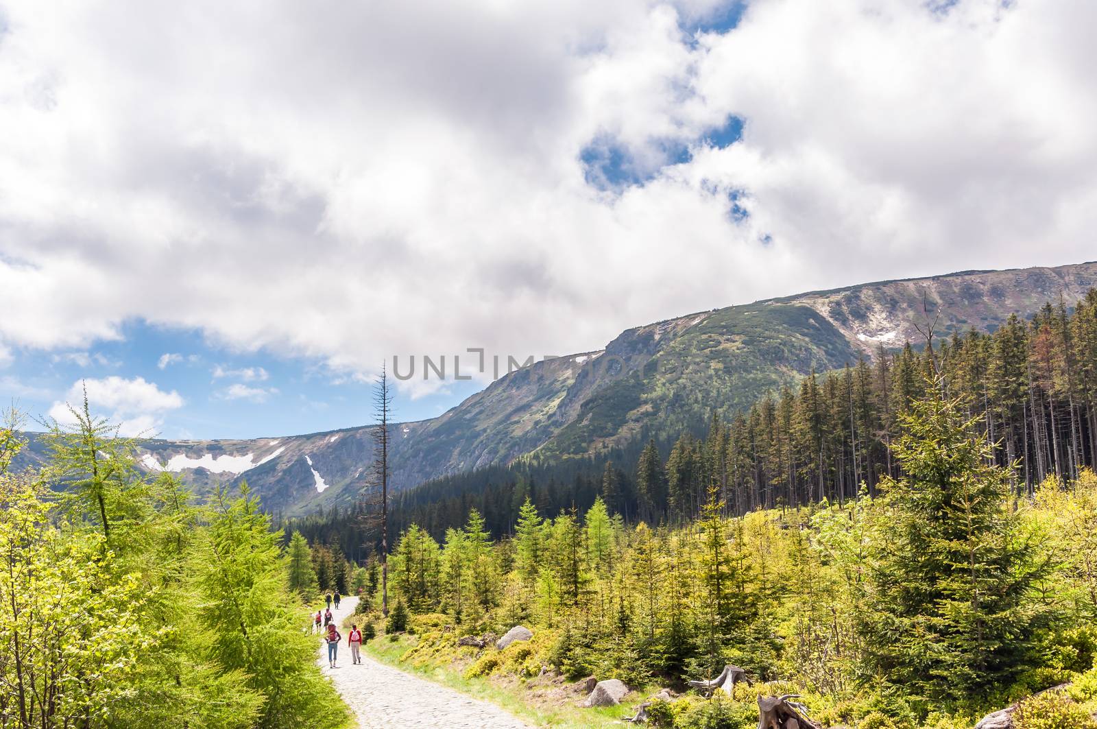 Touristic path in Karkonosze National Park, Poland