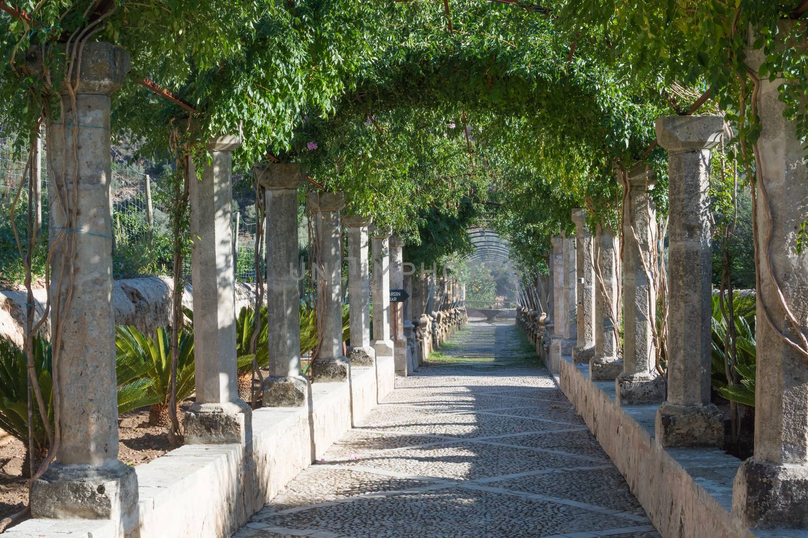 Water installation in Alfabia Botanic Garden in Soller with stone pillars and a shading valve of green overhead.