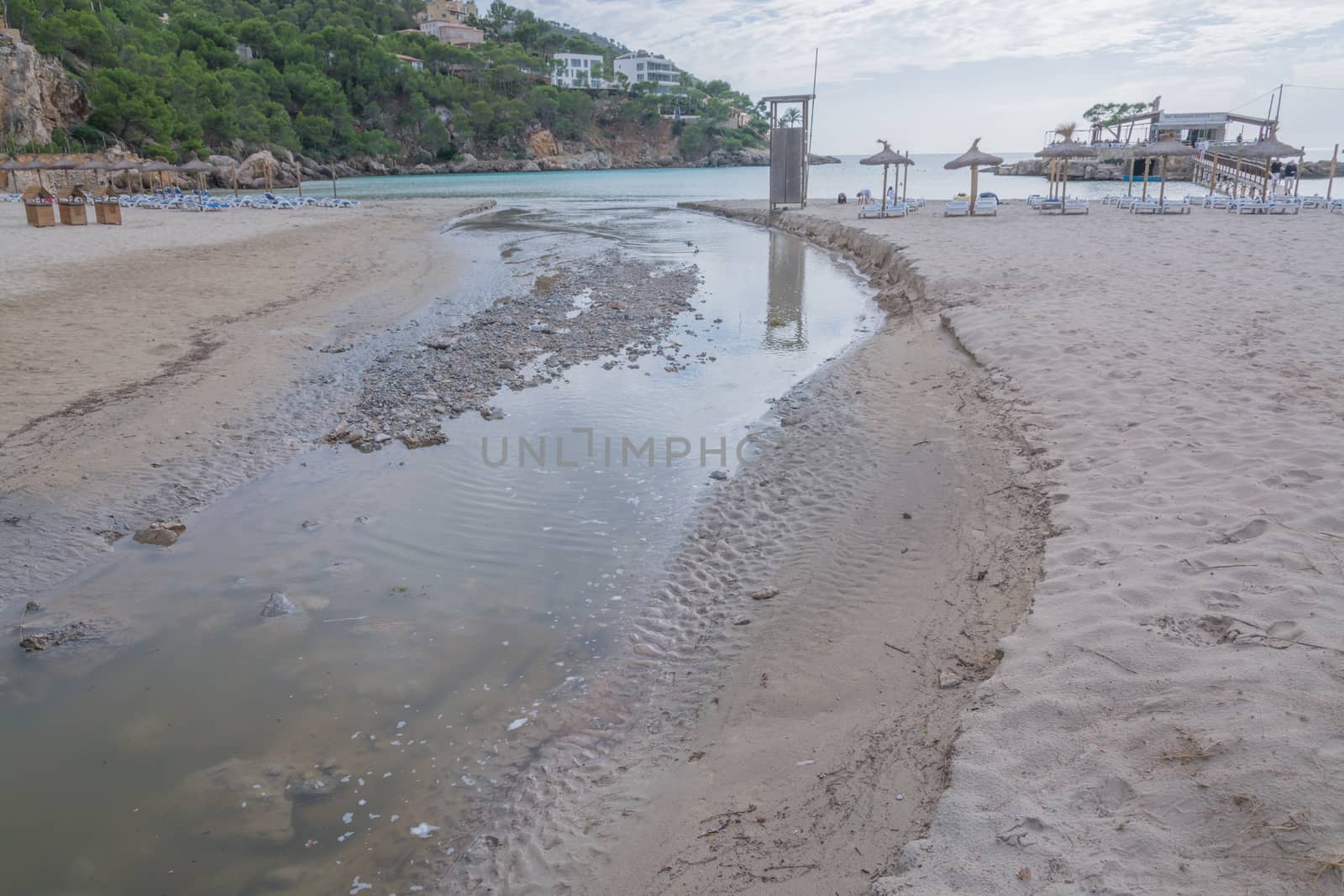 Reedbed of Camp de Mar, a typical humid coast-field with water coming from at least two sources: the Torrent de s'Aguait flowing into the beach, and the sea-water pushed up by waves. Natural protected area that also controls coastal erosion and helps maintain biodiversity. Photo taken the day after the big storm of October 29 2013.