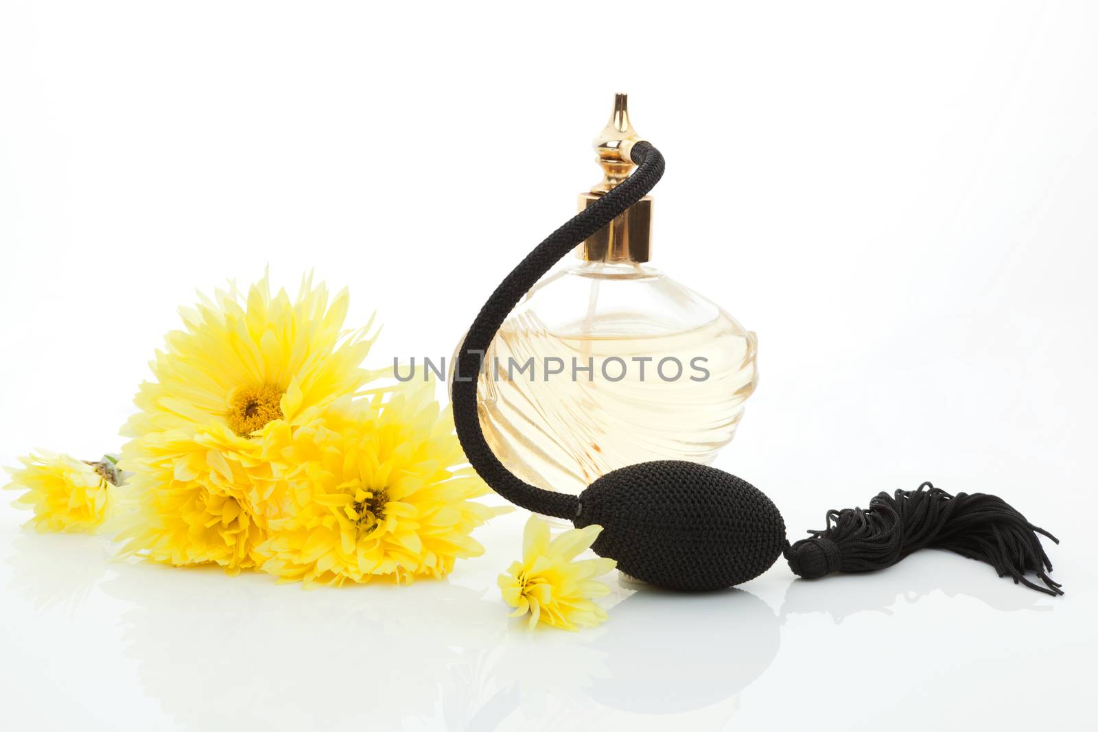 Perfume and flowers isolated on white background. Femininity, beauty and love concept.