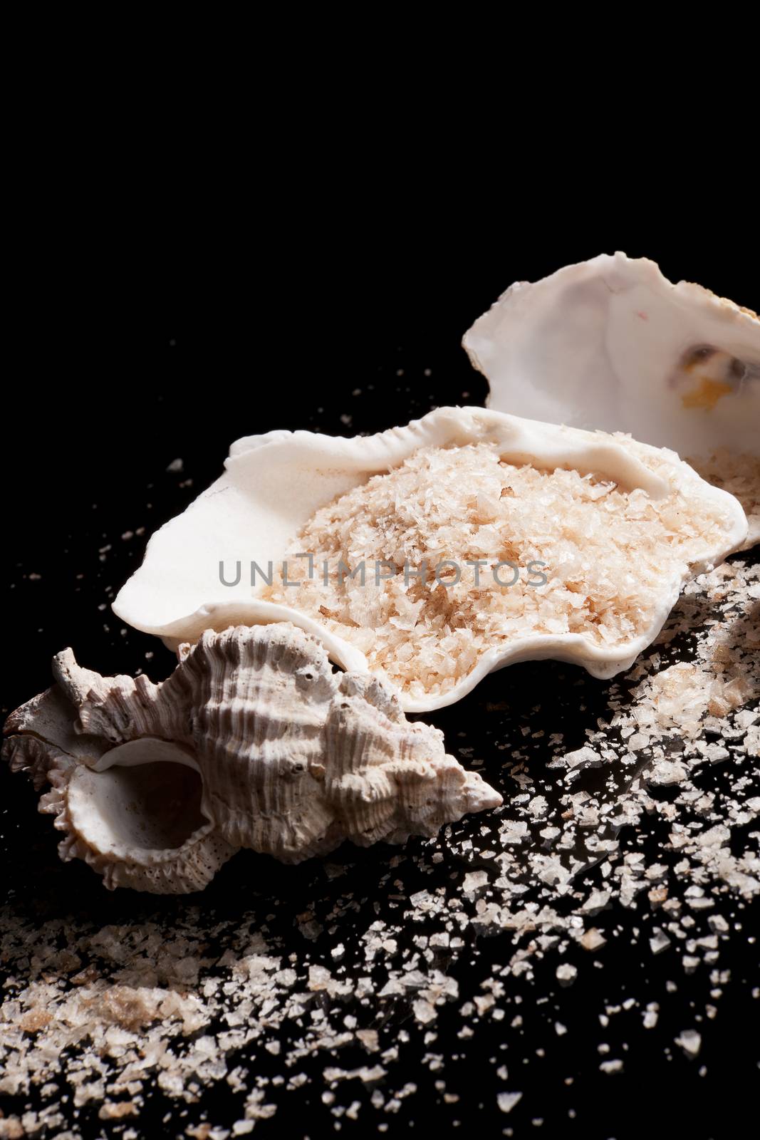 Luxurious sea salt flakes in seashell isolated on black background. Culinary sea salt background.