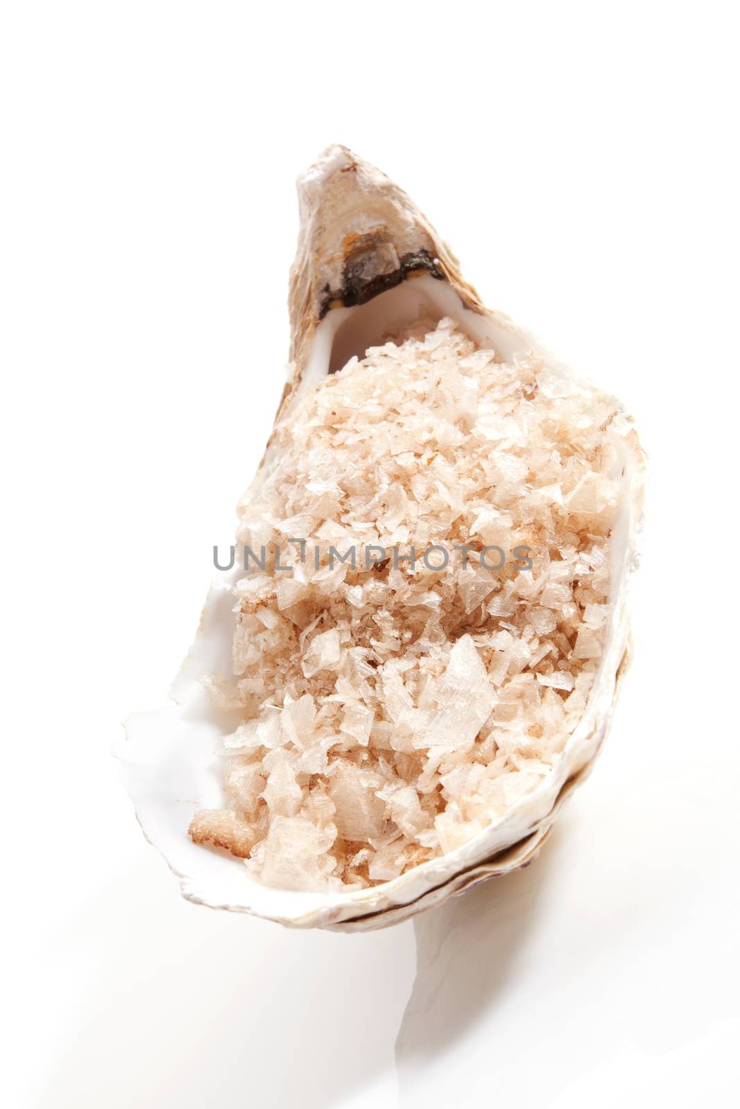 Sea salt crystals in seashell isolated on white background. Natural wellness spa treatment concept.
