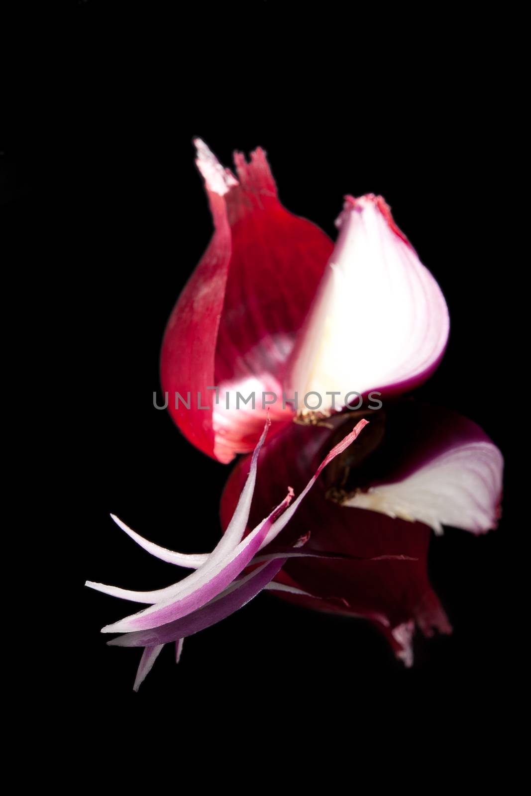 Purple onion still life isolated on black background. Onion piece, slice and peel.