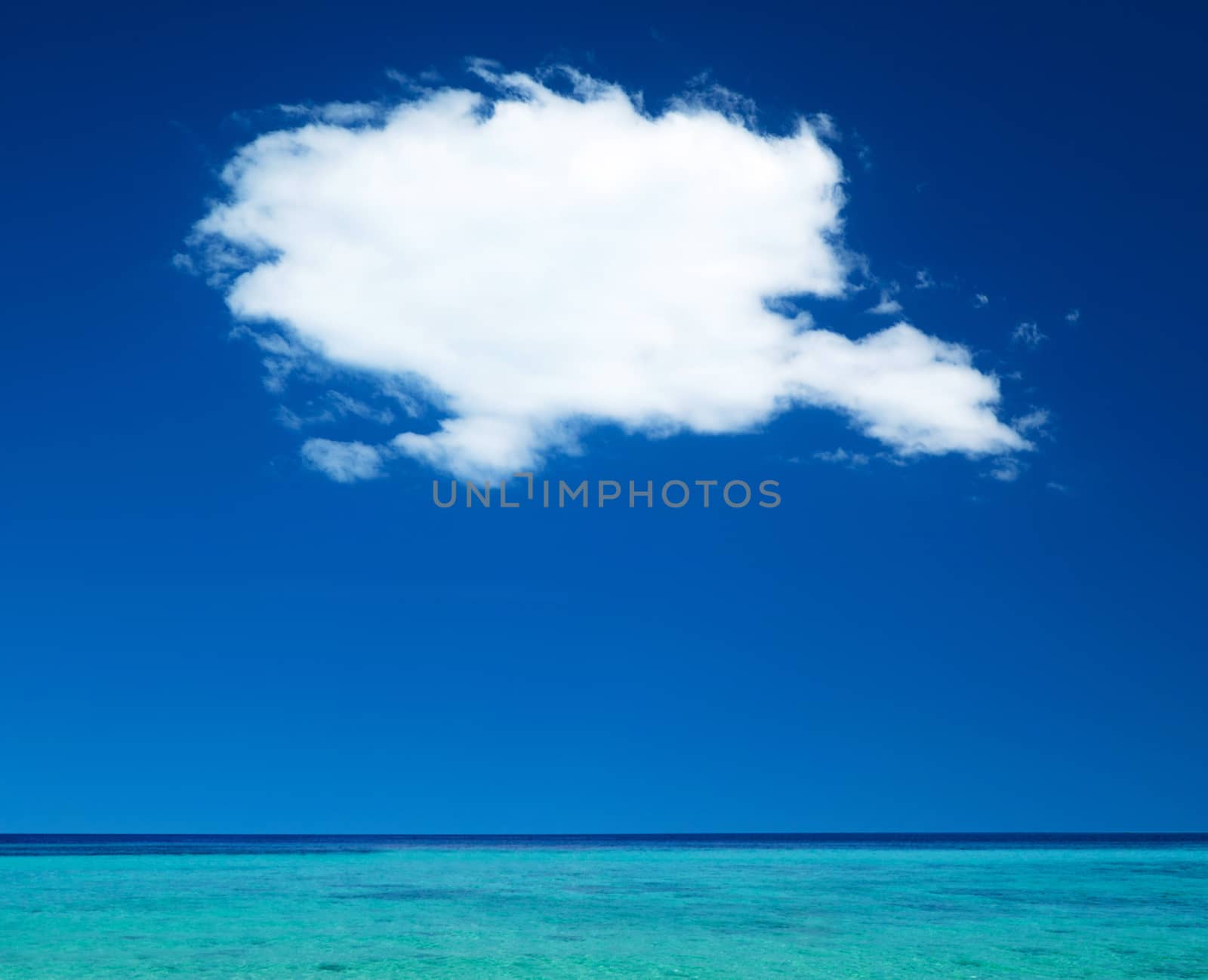 beautiful beach and tropical sea