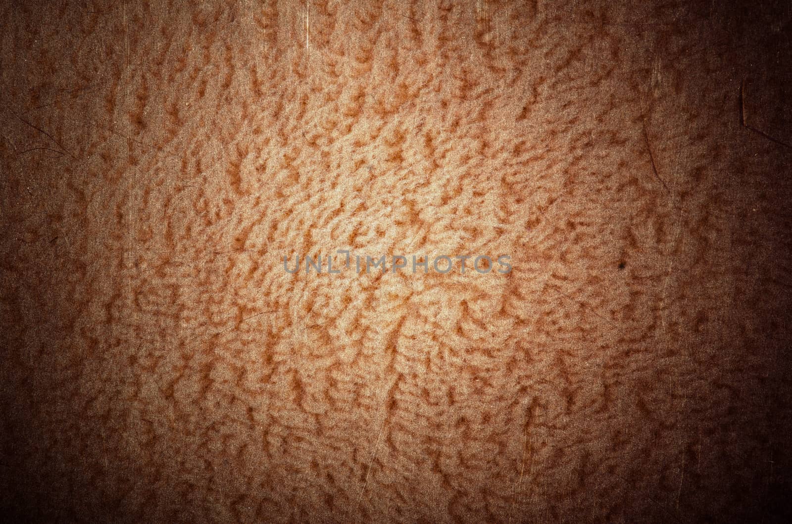 White texture shaggy carpet background