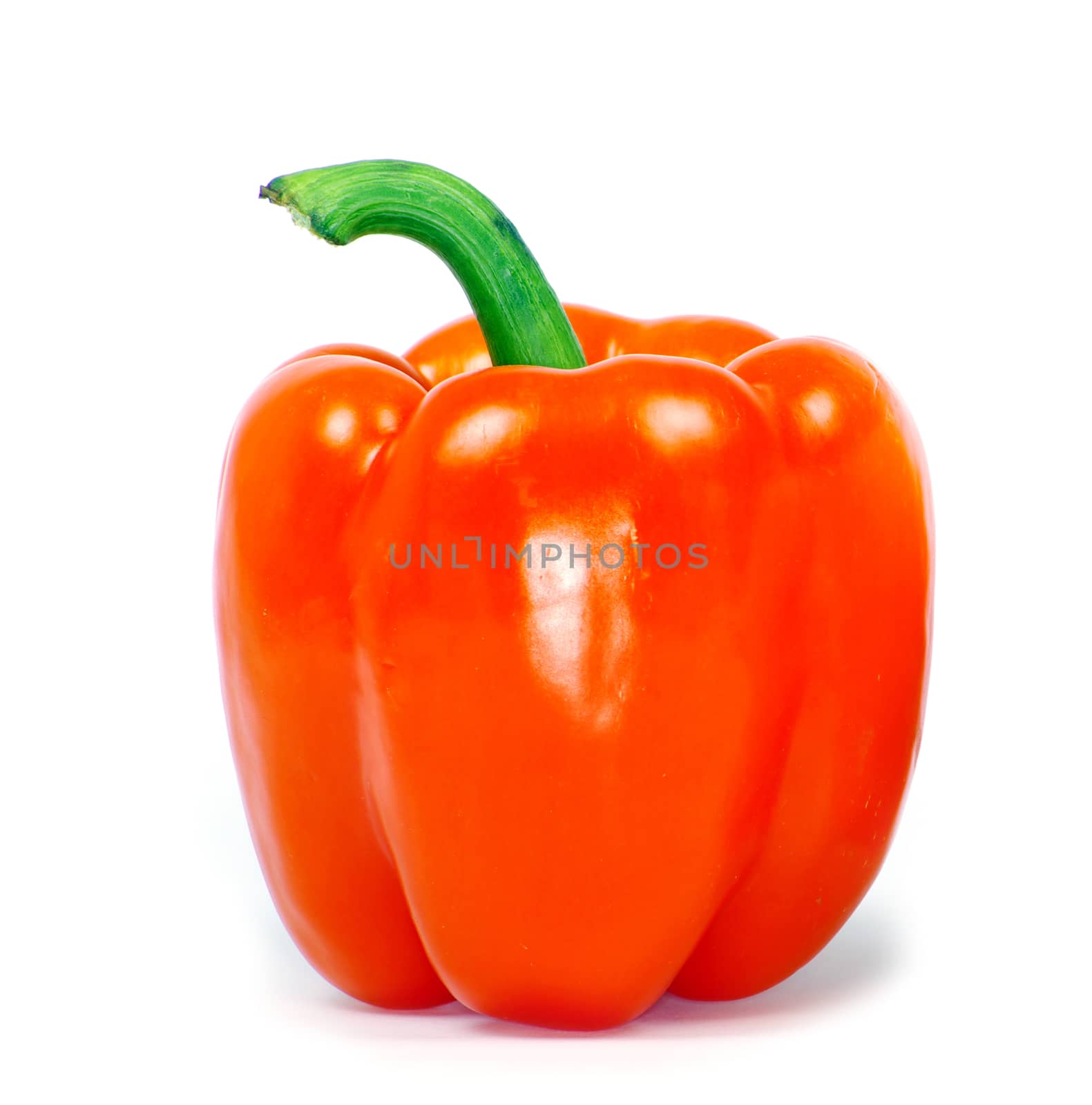 pepper  isolated on a white background