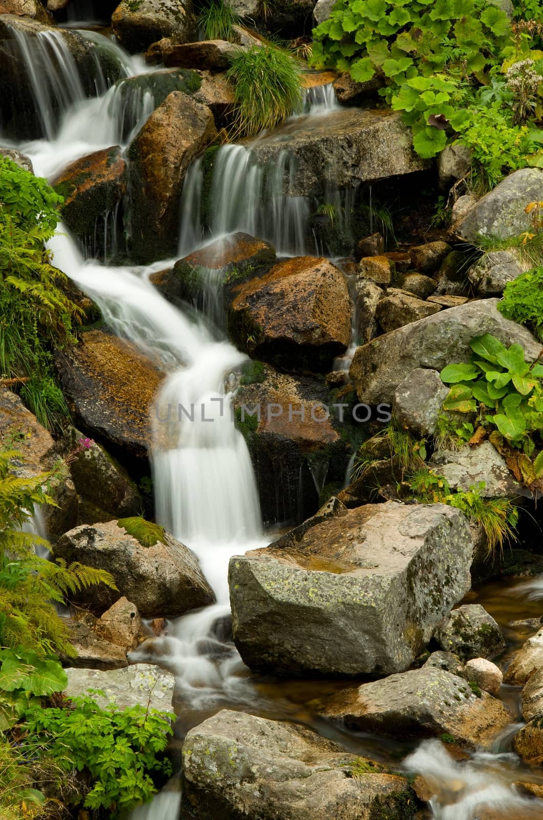 small stream with cascades in mountains between stones
