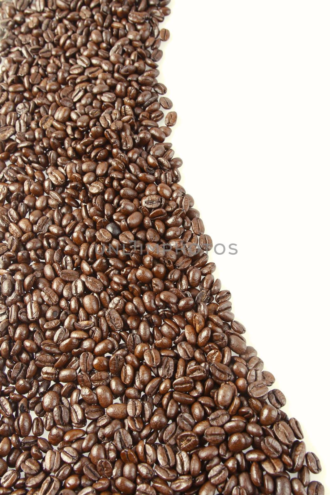 Closeup of coffee beans on plain background. Copy space