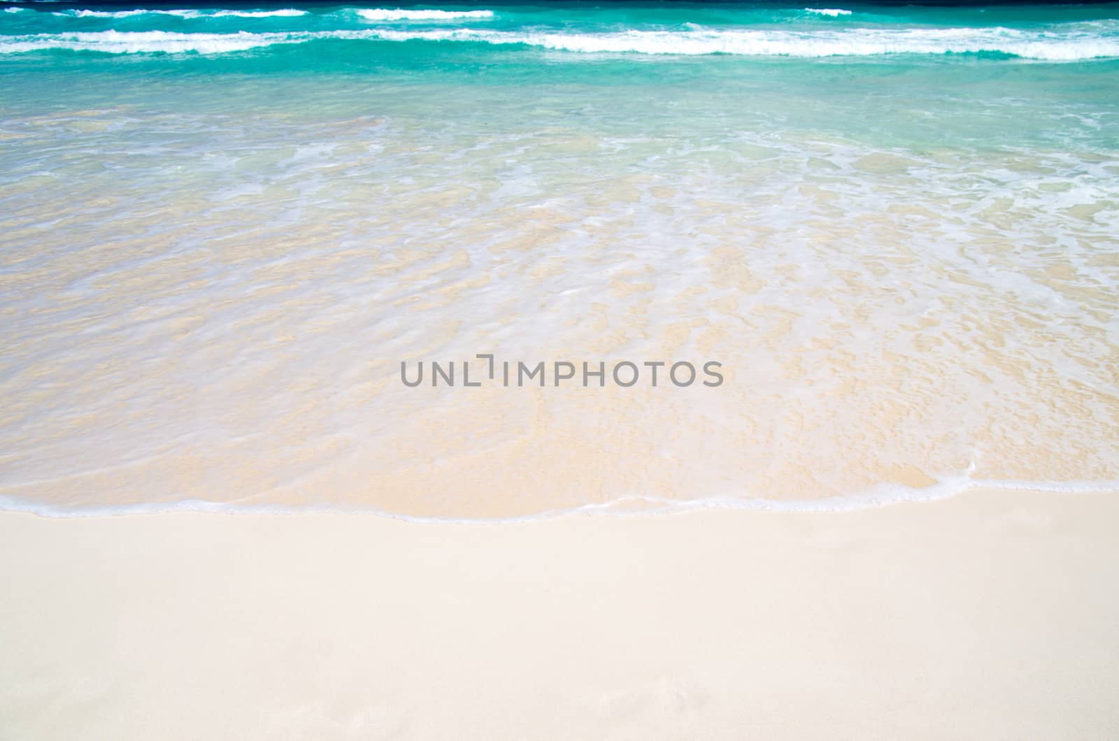 beach and tropical sea