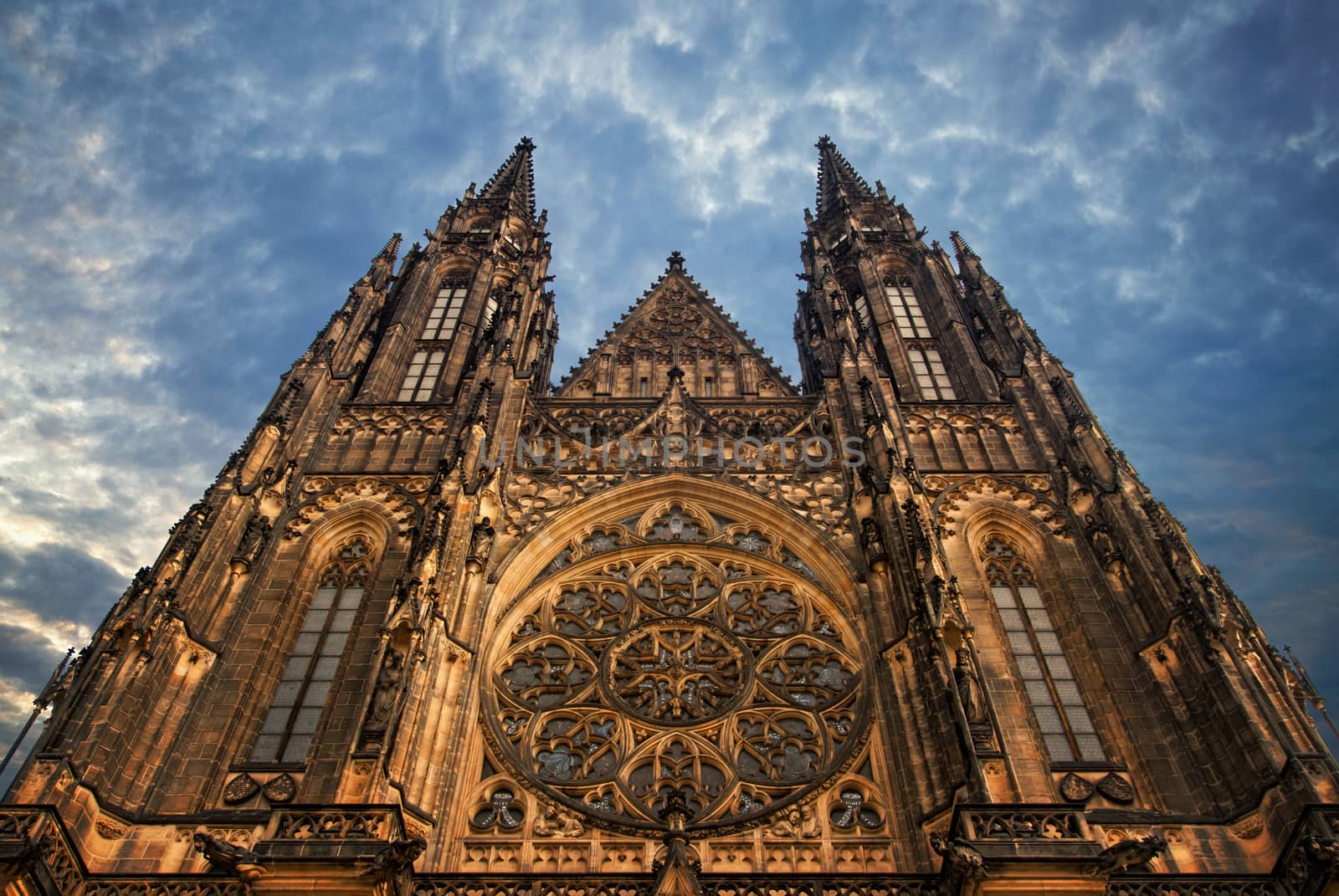 St. Vita`s Cathedral in Prague at the night by Zhukow