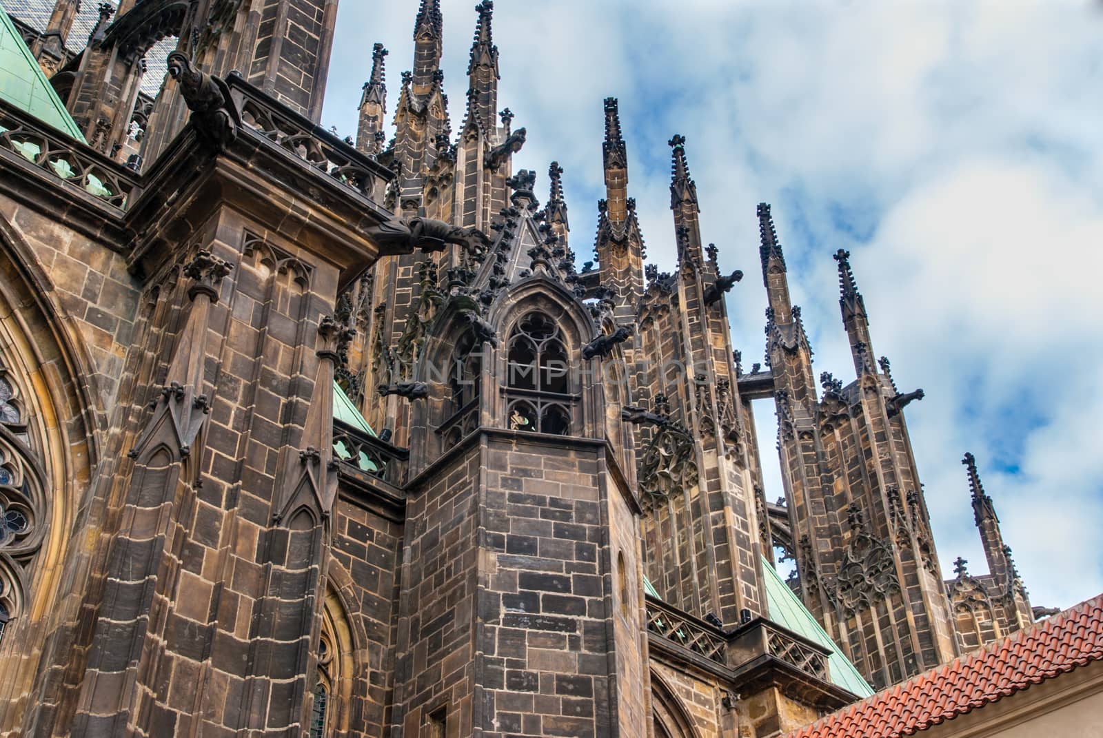 St. Vita`s Cathedral in Prague by Zhukow