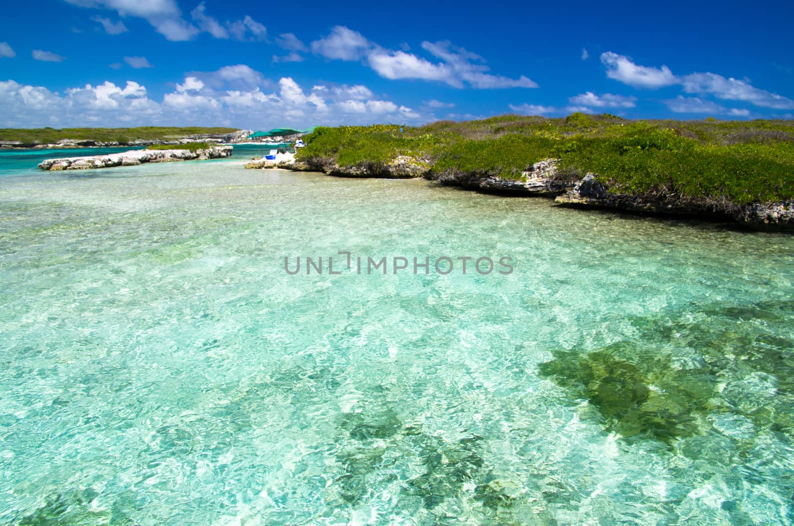 beautiful beach and tropical sea