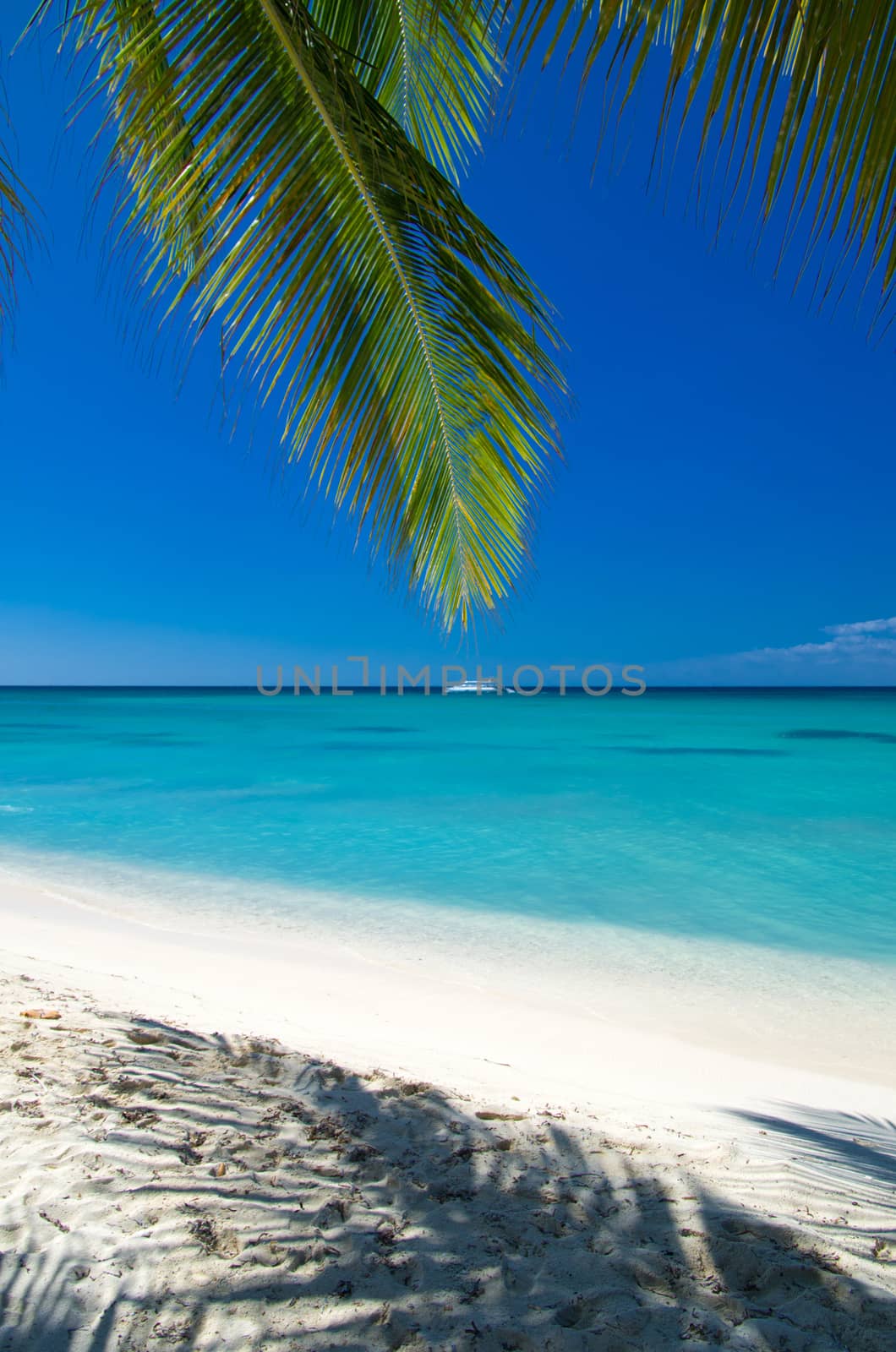 Caribbean clear beach and tropical sea