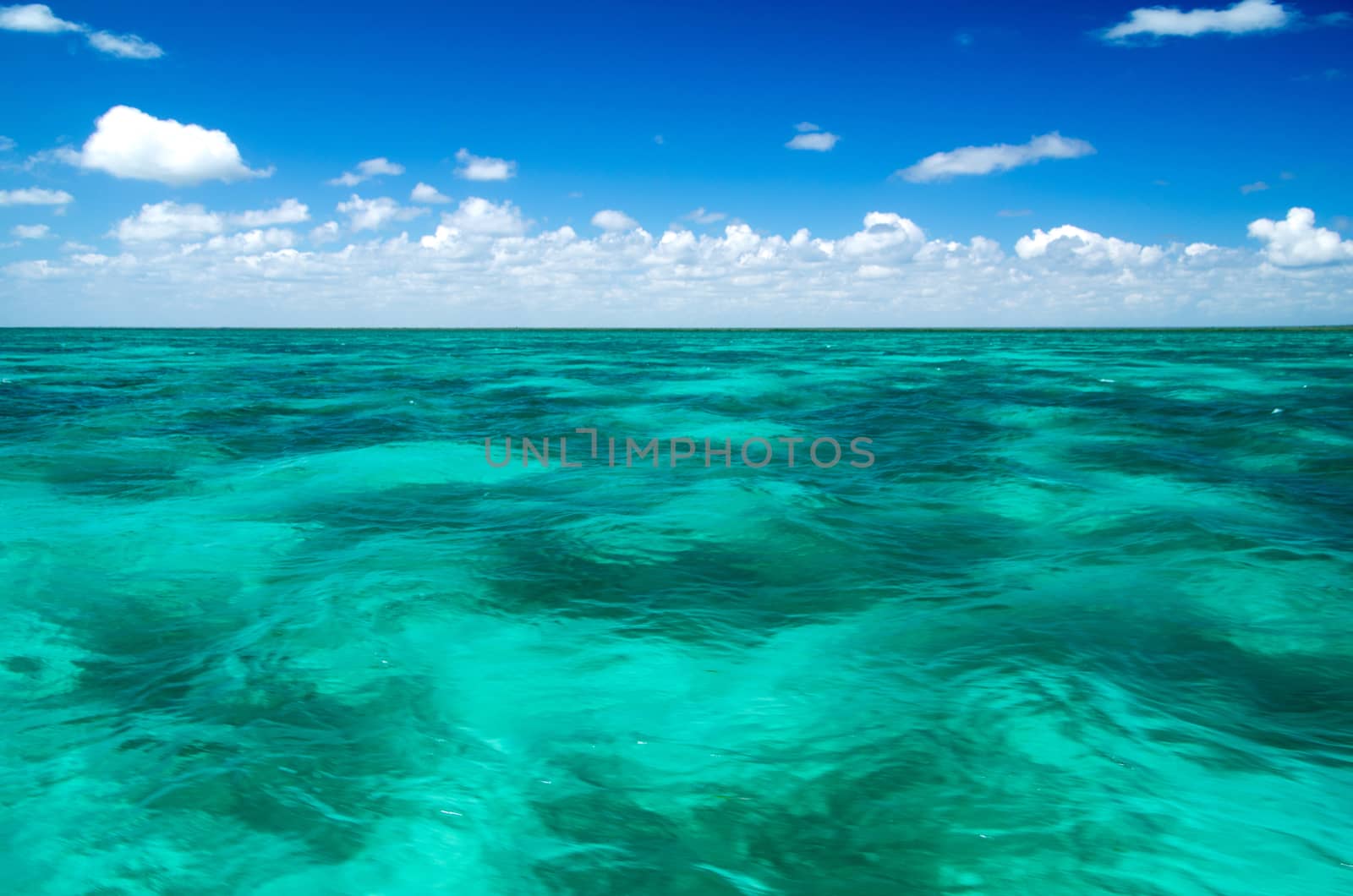 beautiful beach and tropical sea