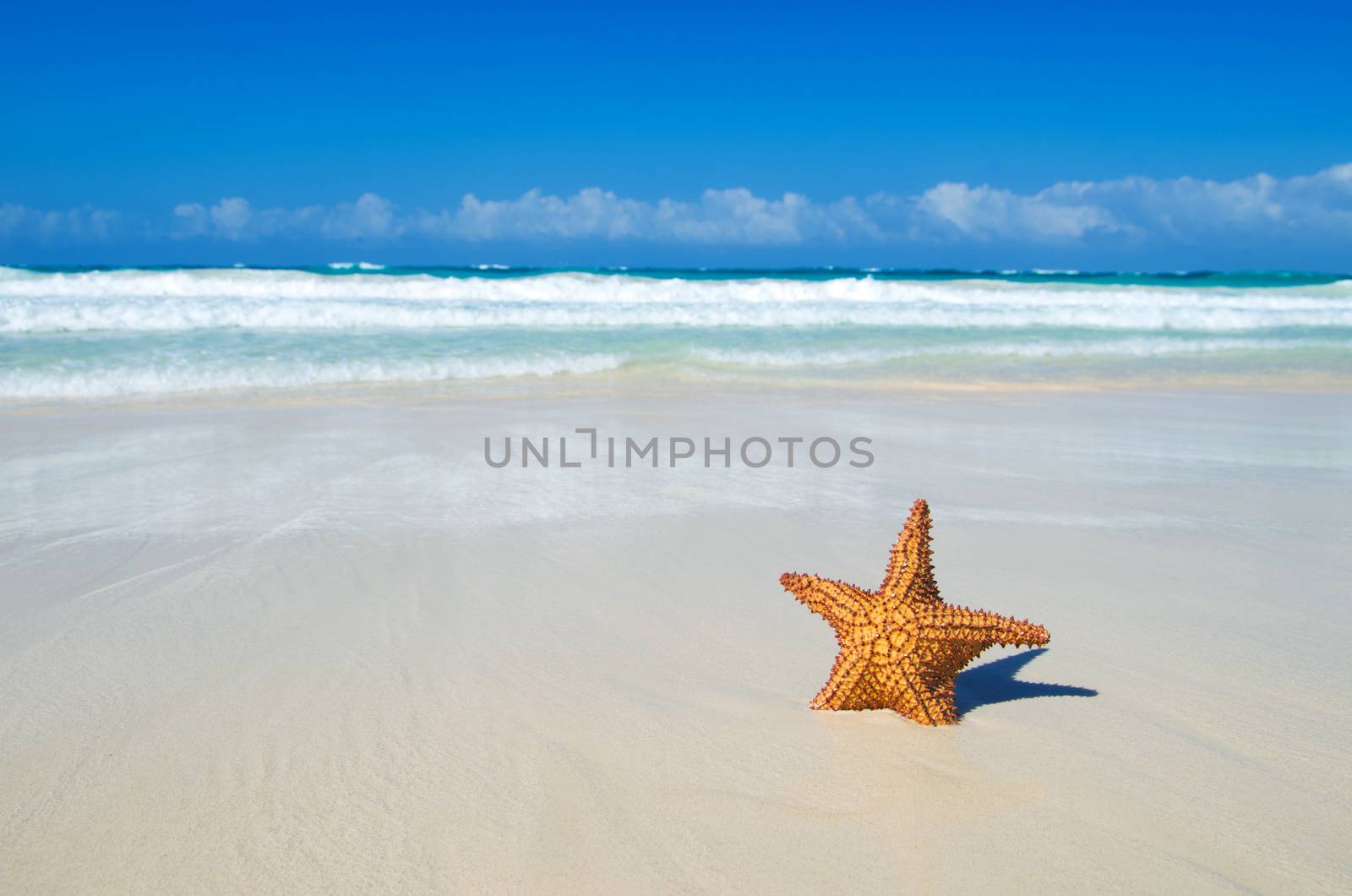 beach and tropical sea