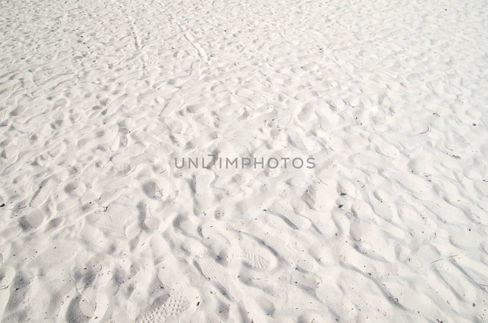 Close up shot of coral sand