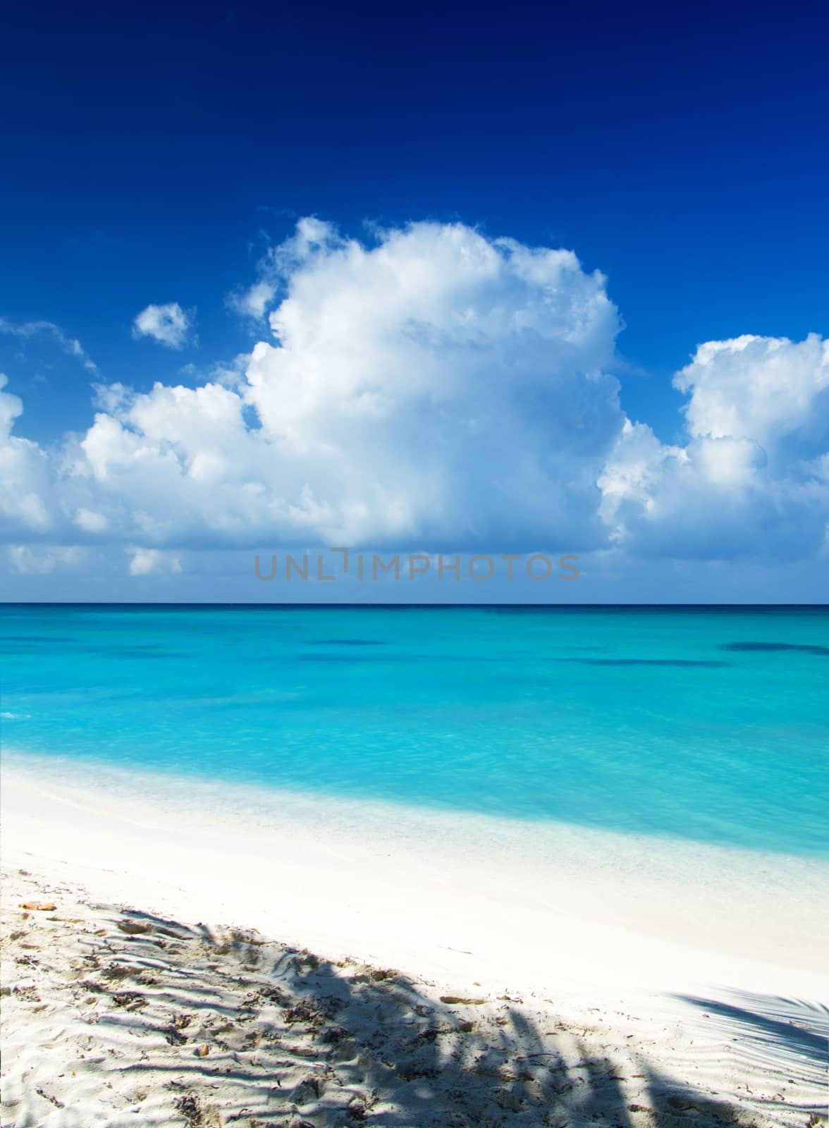 beautiful beach and tropical sea

