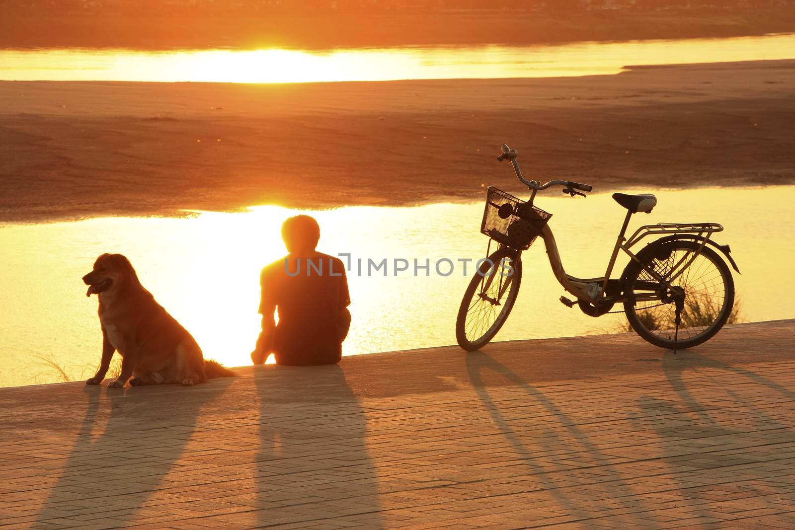 Silhouetted man with a dog watching sunset at Mekong river water by donya_nedomam