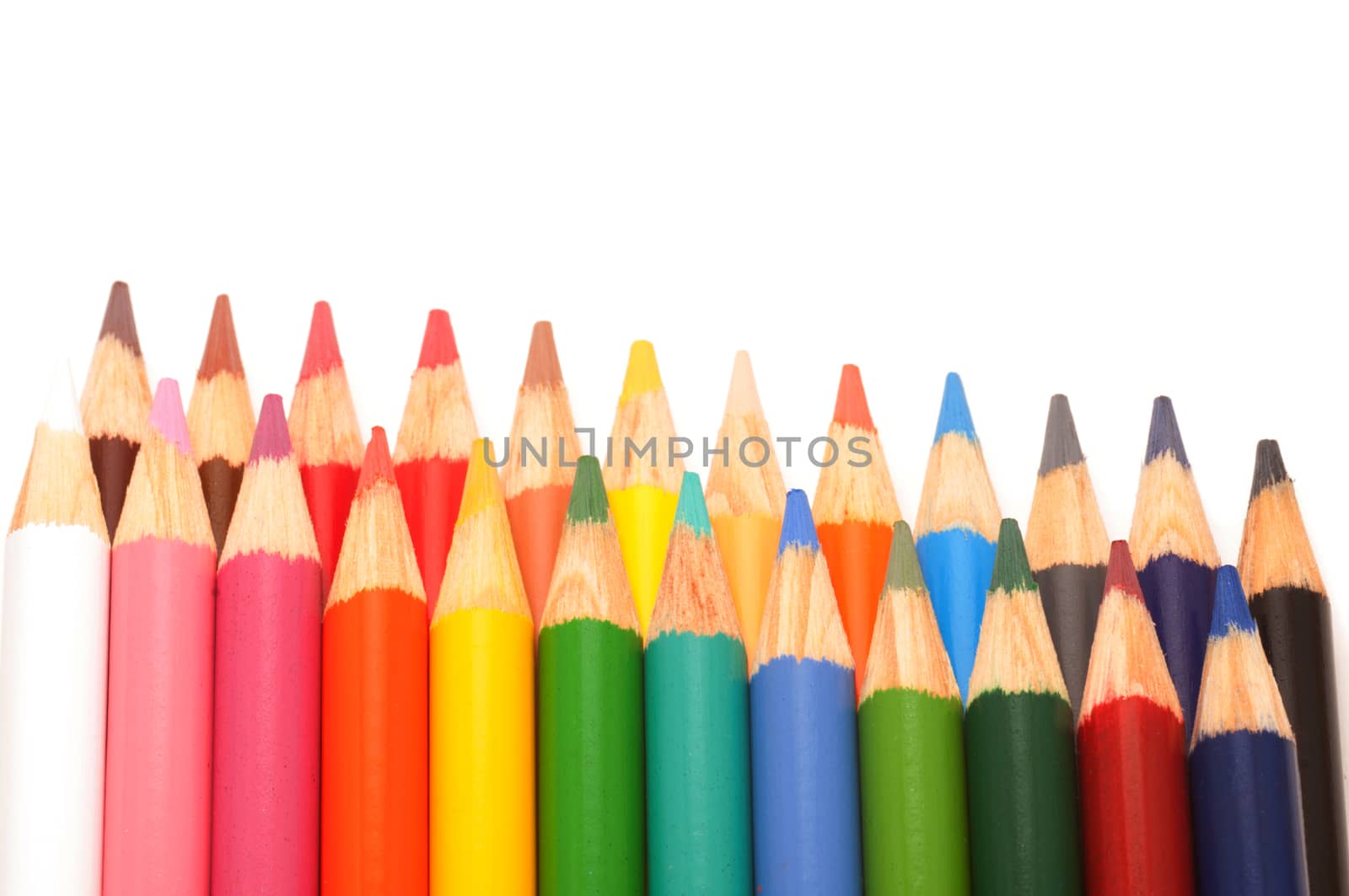 Two rows of coloring pencils lined up vertically  with copy space