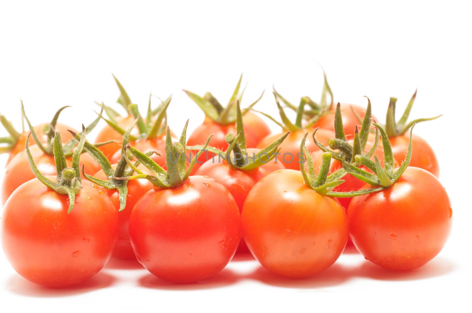 Cherry tomatoes freshly harvested from the garden