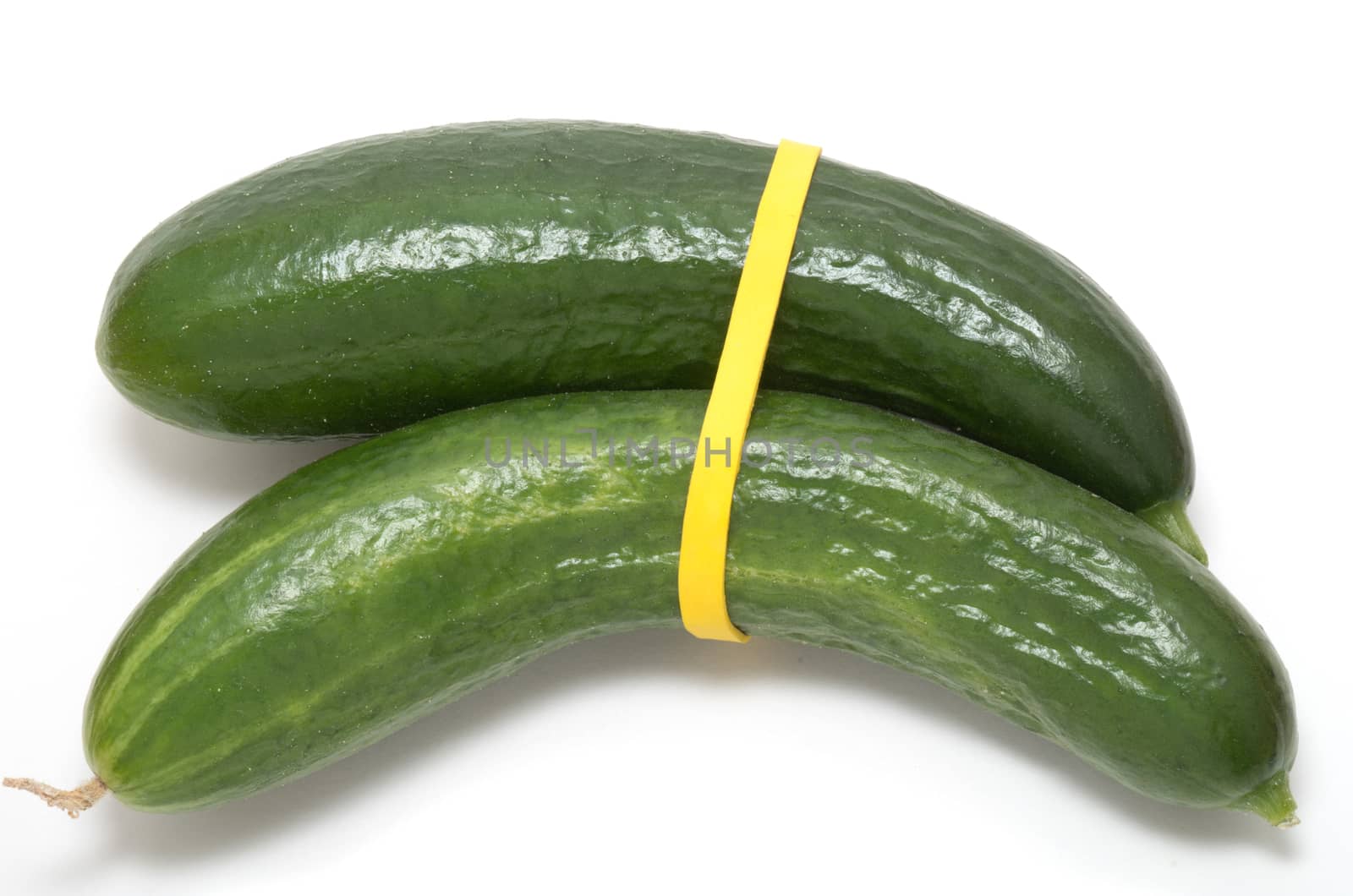 Two Fresh green cucumbers bond together by a yellow rubber band