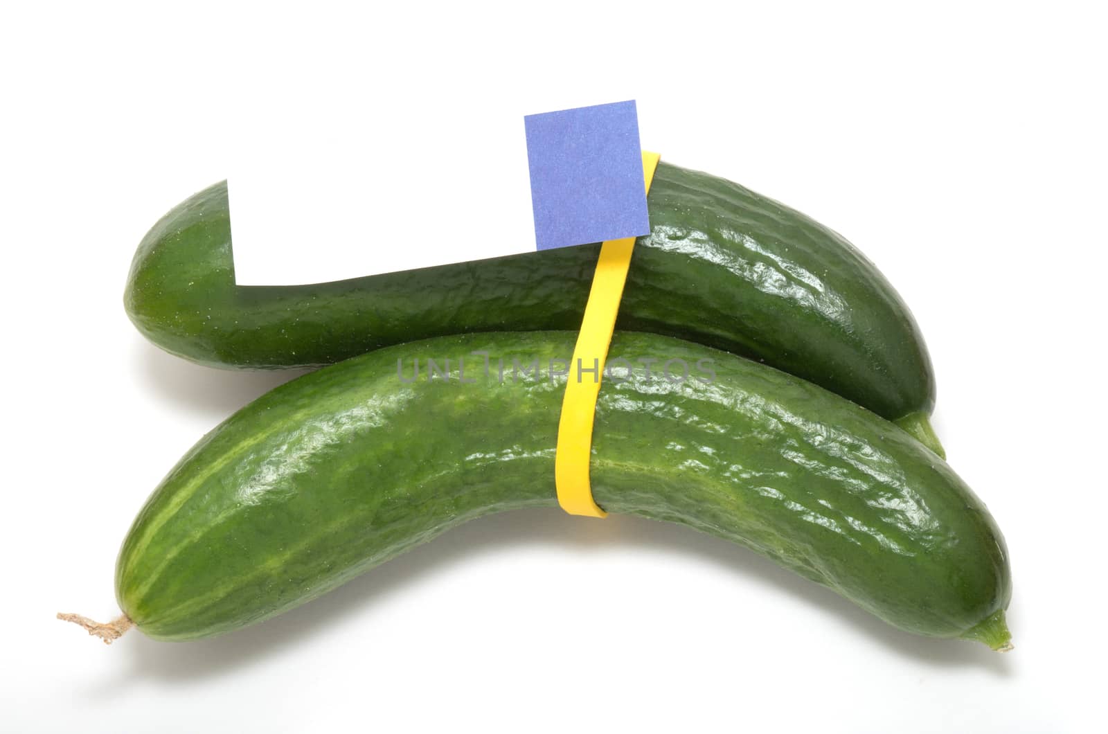 Two Fresh green cucumbers bond together by a yellow rubber band with a piece of sticky note