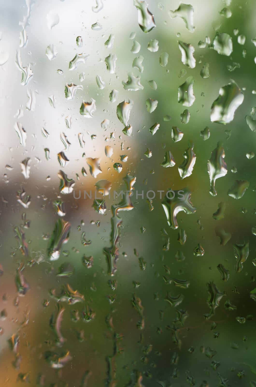 Macro shot of rain water drops on windows - selective focus